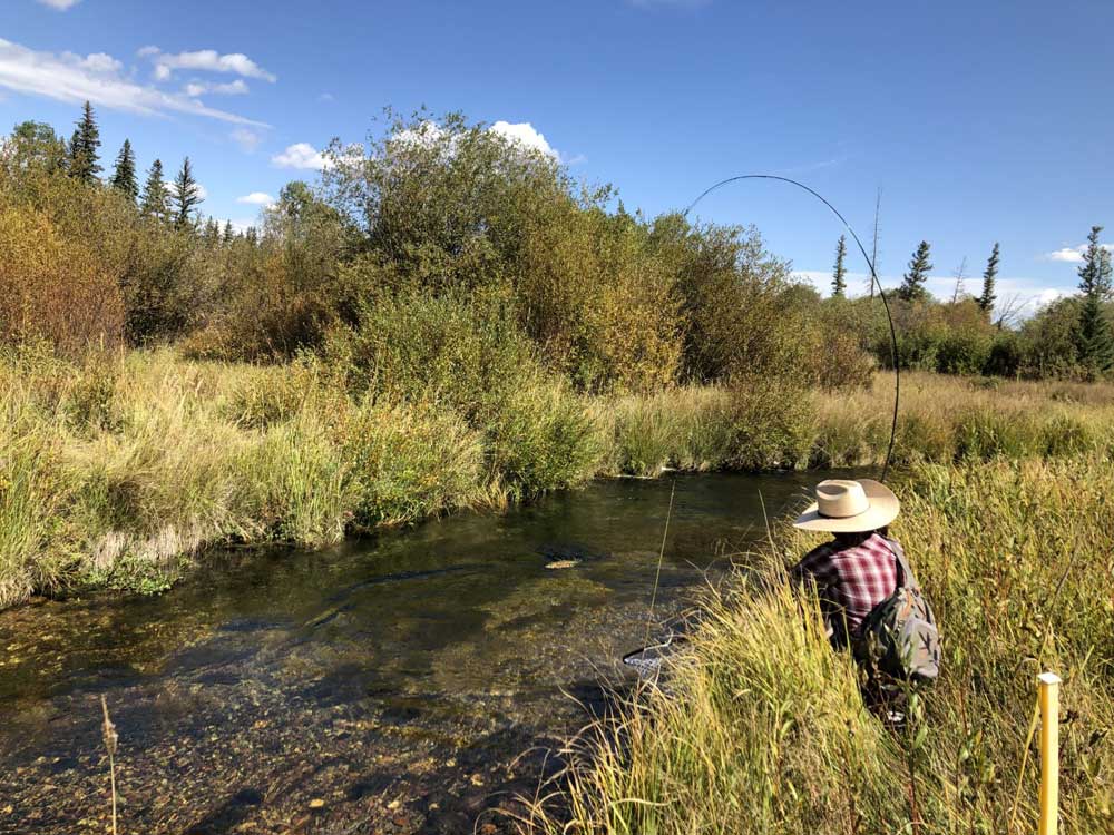 Women's Fly Fishing Clinics 2022